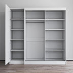 2-Door Wardrobe with Mirror, Glass Front, 2-Person (Gray / Black / White)