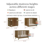 Babyletto Palma 8-in-1 Convertible All-Stages Crib with Bassinet & Toddler Bed Kits
