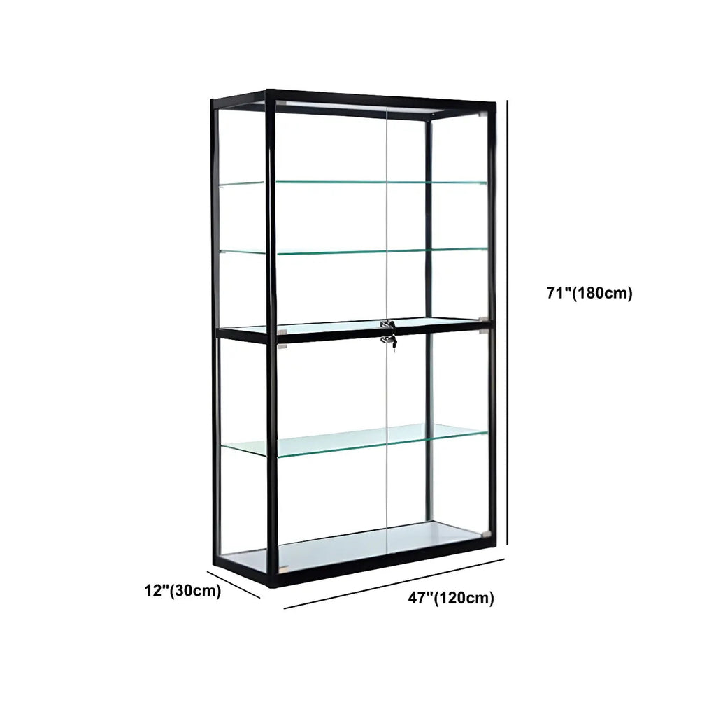 Contemporary Rectangular Black Glass Curio Cabinet