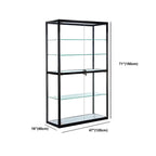 Contemporary Rectangular Black Glass Curio Cabinet