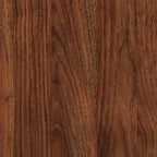 Delaire Mid-Century Modern Walnut Brown Finished Wood Shoe Cabinet