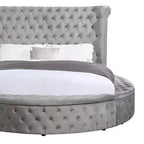 109 Queen Bed Gaiva Bed Gray Velvet - Acme Furniture: Elegant Nailhead, Button-Tufted Design, Wood Composite Frame