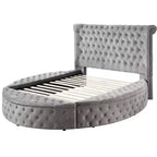 109 Queen Bed Gaiva Bed Gray Velvet - Acme Furniture: Elegant Nailhead, Button-Tufted Design, Wood Composite Frame