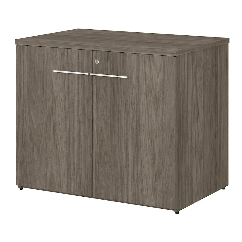 36-inch 2-deurs opbergkast met verstelbare plank en slot