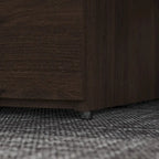 36-inch 2-deurs opbergkast met verstelbare plank en slot