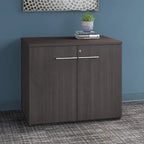 36-inch 2-deurs opbergkast met verstelbare plank en slot