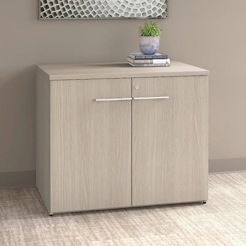 36-inch 2-deurs opbergkast met verstelbare plank en slot