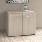 36-inch 2-deurs opbergkast met verstelbare plank en slot