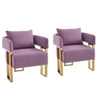 Set of 2 Modern Upholstered Accent Chairs with Gold Metal Legs for Living Room, Bedroom, or Office
