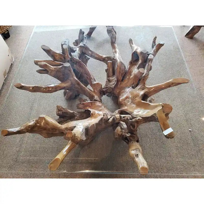 Teak Wood Root Coffee Table Including 55 inch Square Glass Top