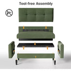 Dyonery 50 Loveseat Sofa, 2-Seater Love Seat for Office & Small Spaces, 24 Deep Seat, FSC Solid Wood Frame, Tool-Free Assembly