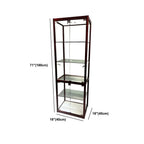 Contemporary Rectangular Black Glass Curio Cabinet
