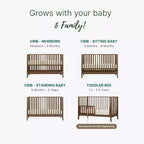 3-in-1 Convertible Crib, Solid Beechwood, GREENGUARD Gold Certified, Made in Italy