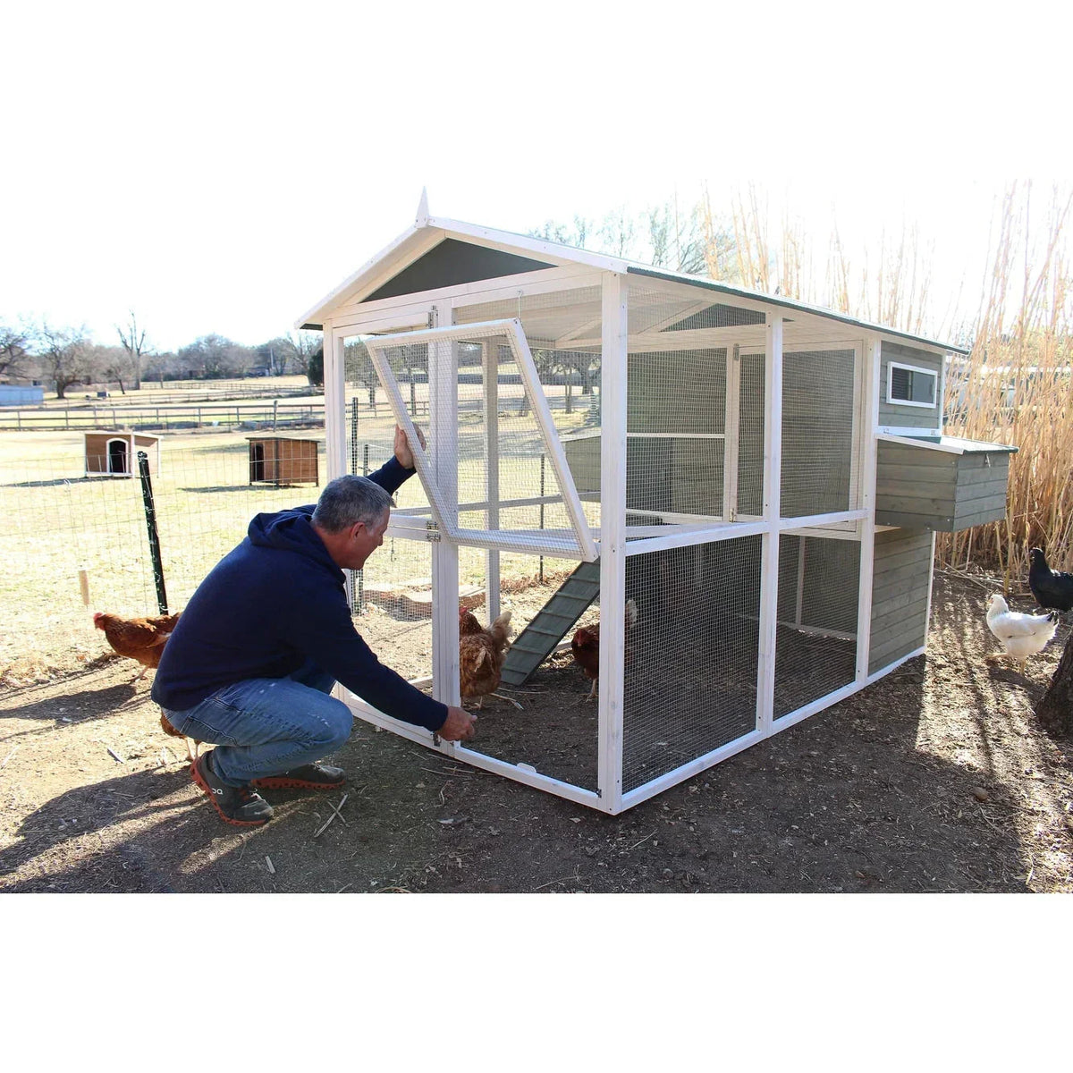 Zylina Big Green Chicken Coop