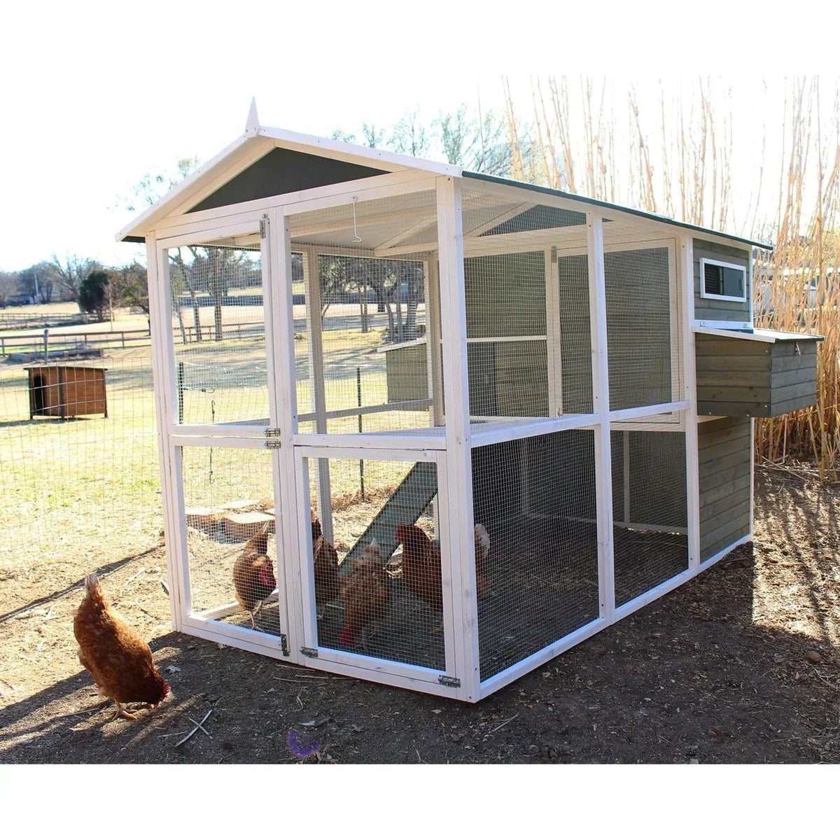 Zylina Big Green Chicken Coop