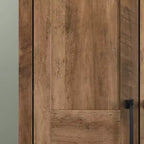 2 Door Storage Cabinet - Sauder